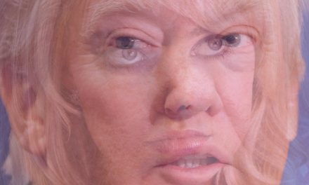 Trailerpark #1: Donald Trumps Amerika
