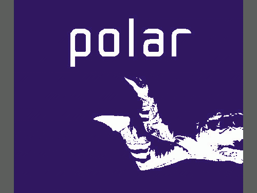 kpolar: The skydiver